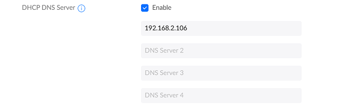 solved-local-dns-not-working-pihole-not-working-ubiquiti-unifi