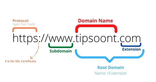 Domain-and-Its-Parts-for-Requirement-of-a-website-1024x538-1