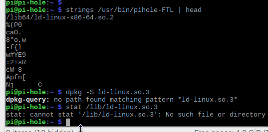 Pihole installer: /usr/bin/pihole-FTL No such file or directory